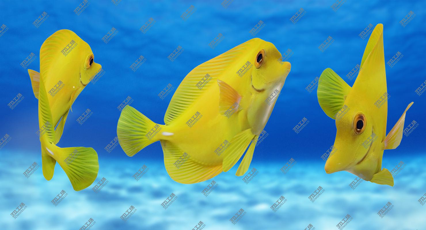 images/goods_img/2021040165/Yellow Tang (Animated) 3D model/1.jpg